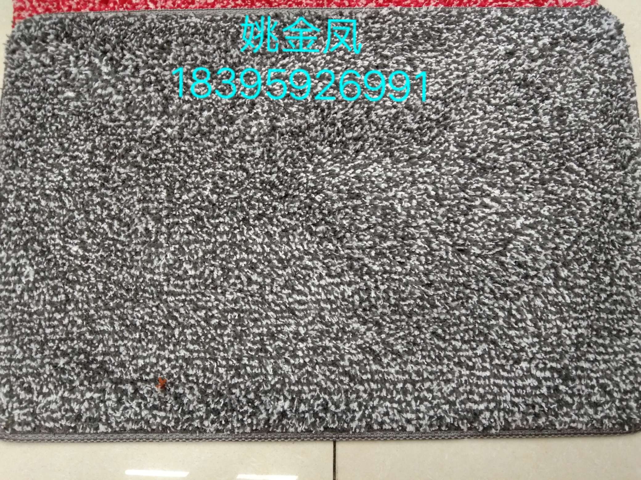 Snowflake Velvet Absorbent Mat Cleaning Mat Pvc Cut Pile Carpet Pet Carpet Cotton Blanket Any Size undefined