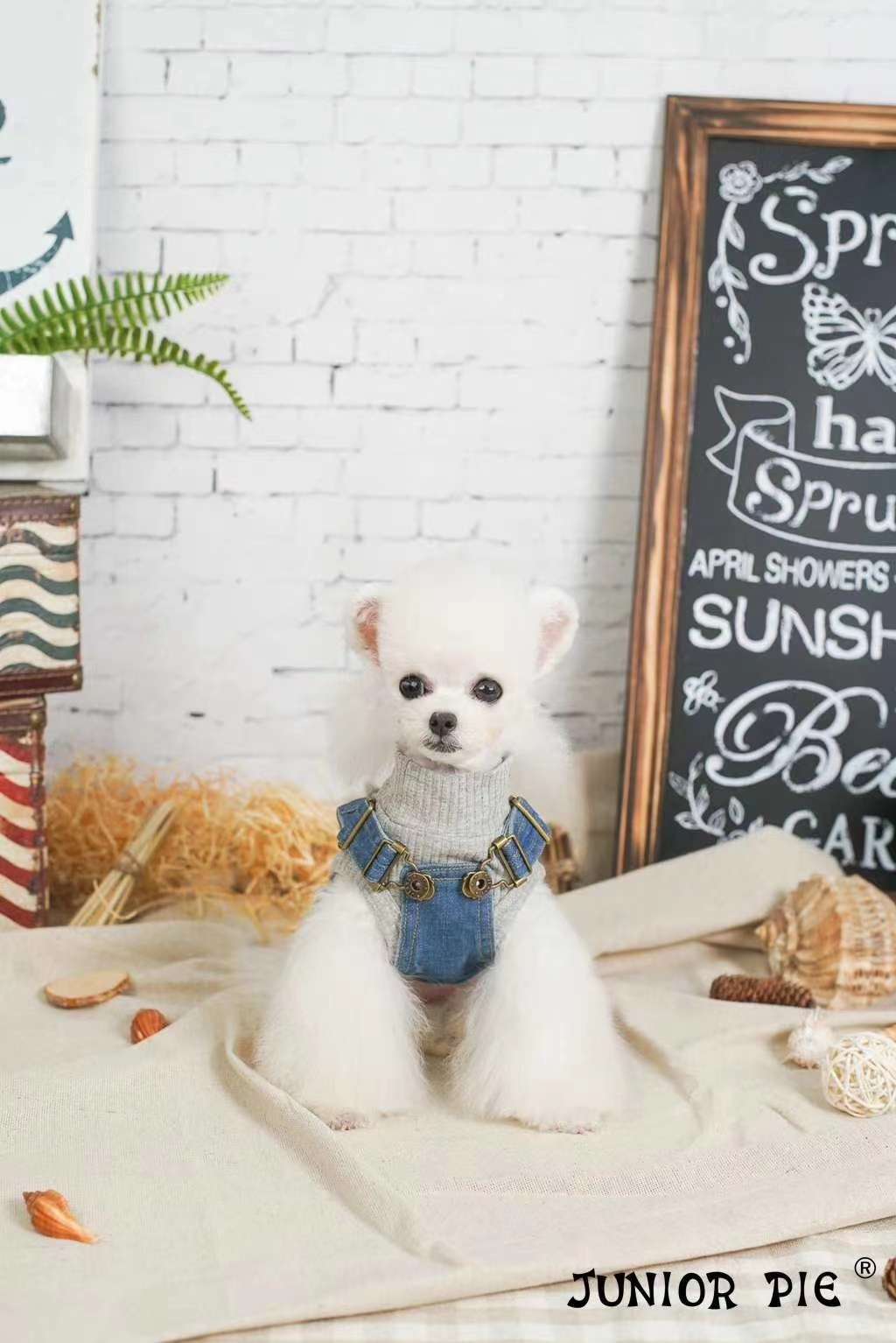 【JUNIOR PIE】2020新款首发🎊  🎊 🎊 
   牛仔背带裙
经典的牛仔系列，全棉牛仔面料，水洗磨毛工详情图9