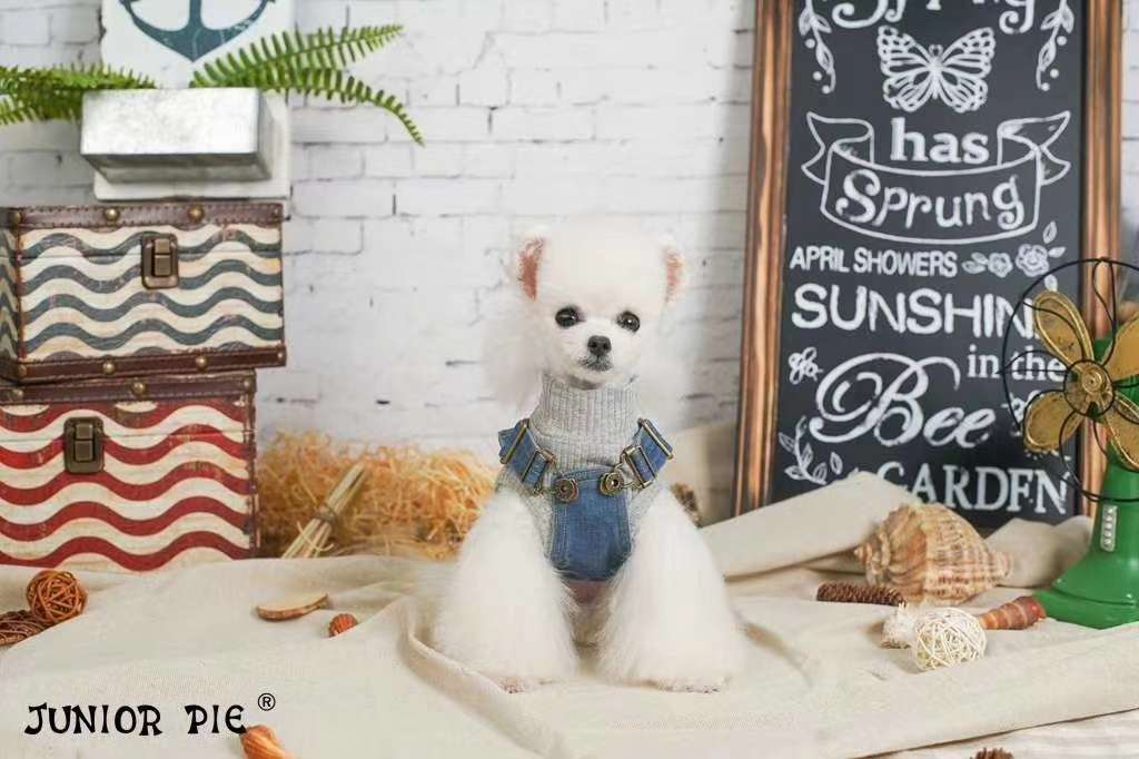 【JUNIOR PIE】2020新款首发🎊  🎊 🎊 
   牛仔背带裙
经典的牛仔系列，全棉牛仔面料，水洗磨毛工详情图7