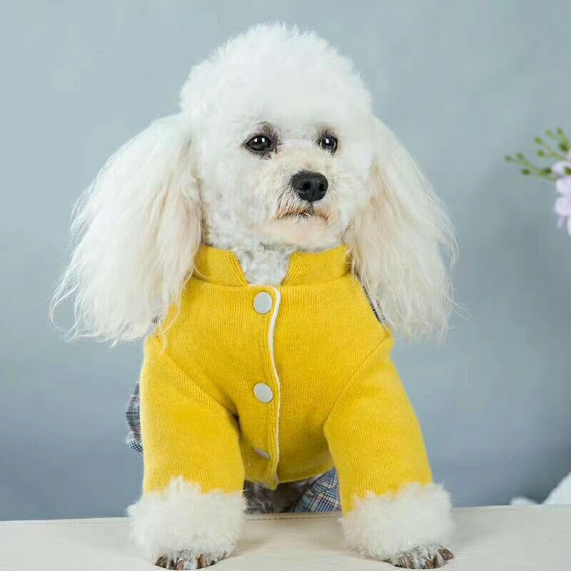 The new style is here! Pet baby overalls fake two-piece set! Monochrome clothes with plaid clothes suspenders skirt, wearing very good style! Application Scenario