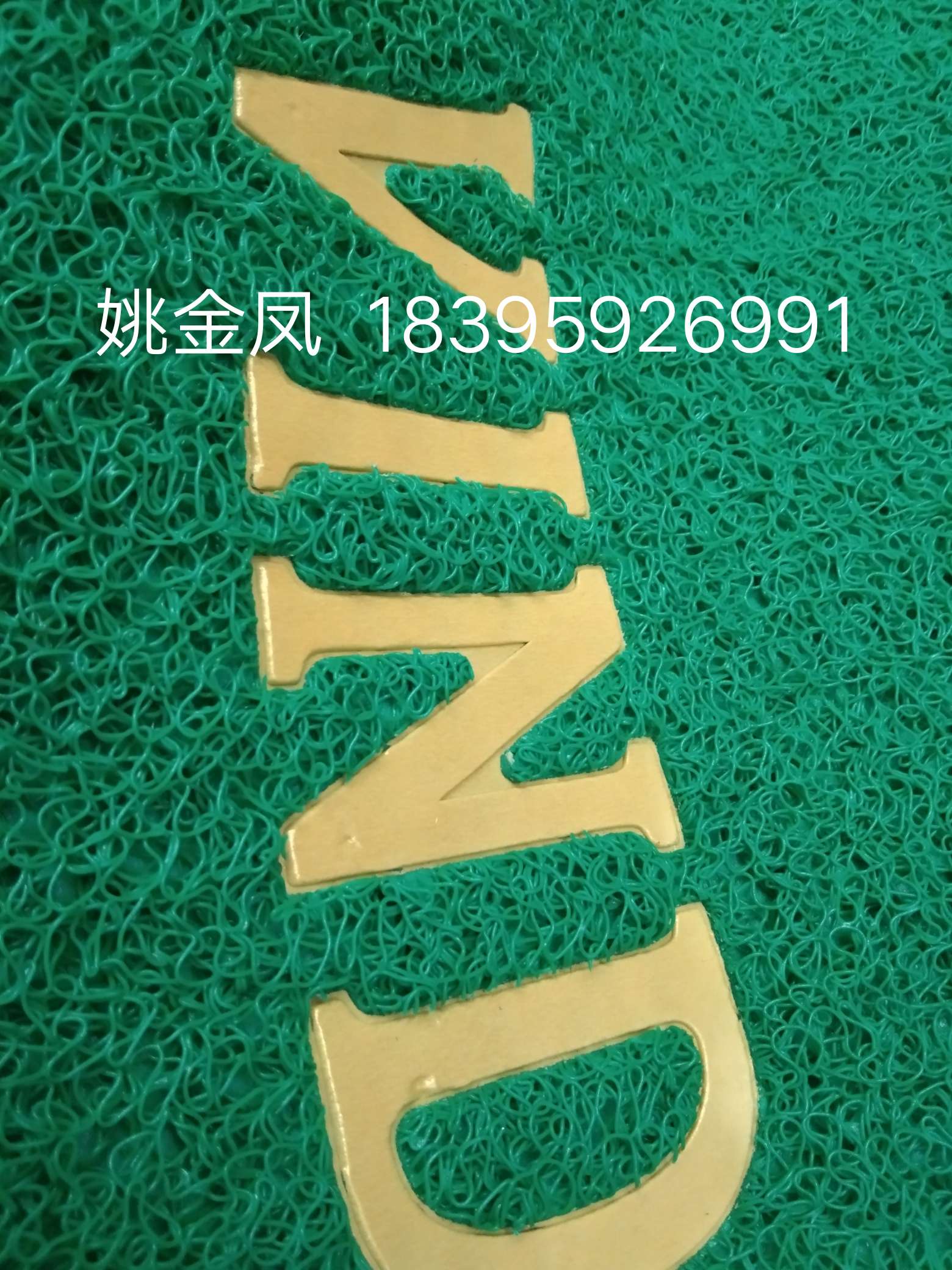 (Brushed Floor Mat 38×58 Portuguese, English) Thickened Plastic Wire Ring Carpet Door Mat Household Kitchen Waterproof Door Mat Can Be Car Foot Mat details Picture