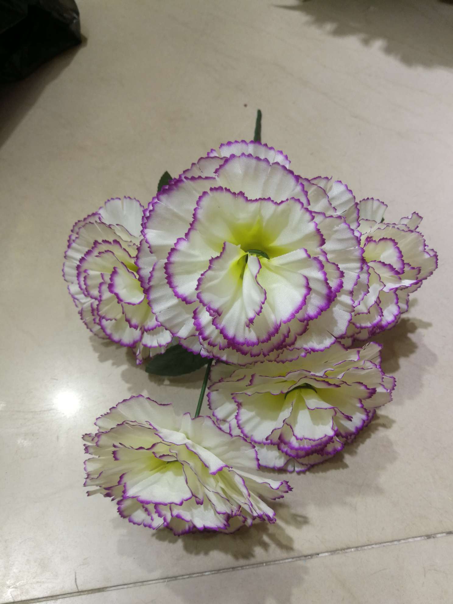 carnations thumbnail