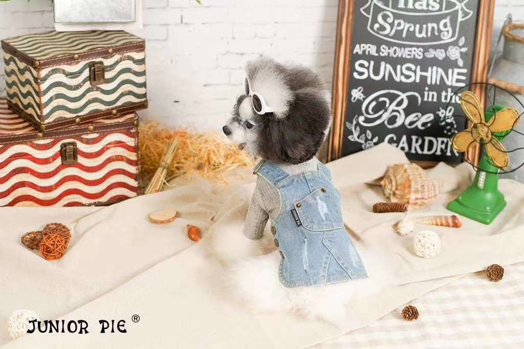 宠物服白底实物图