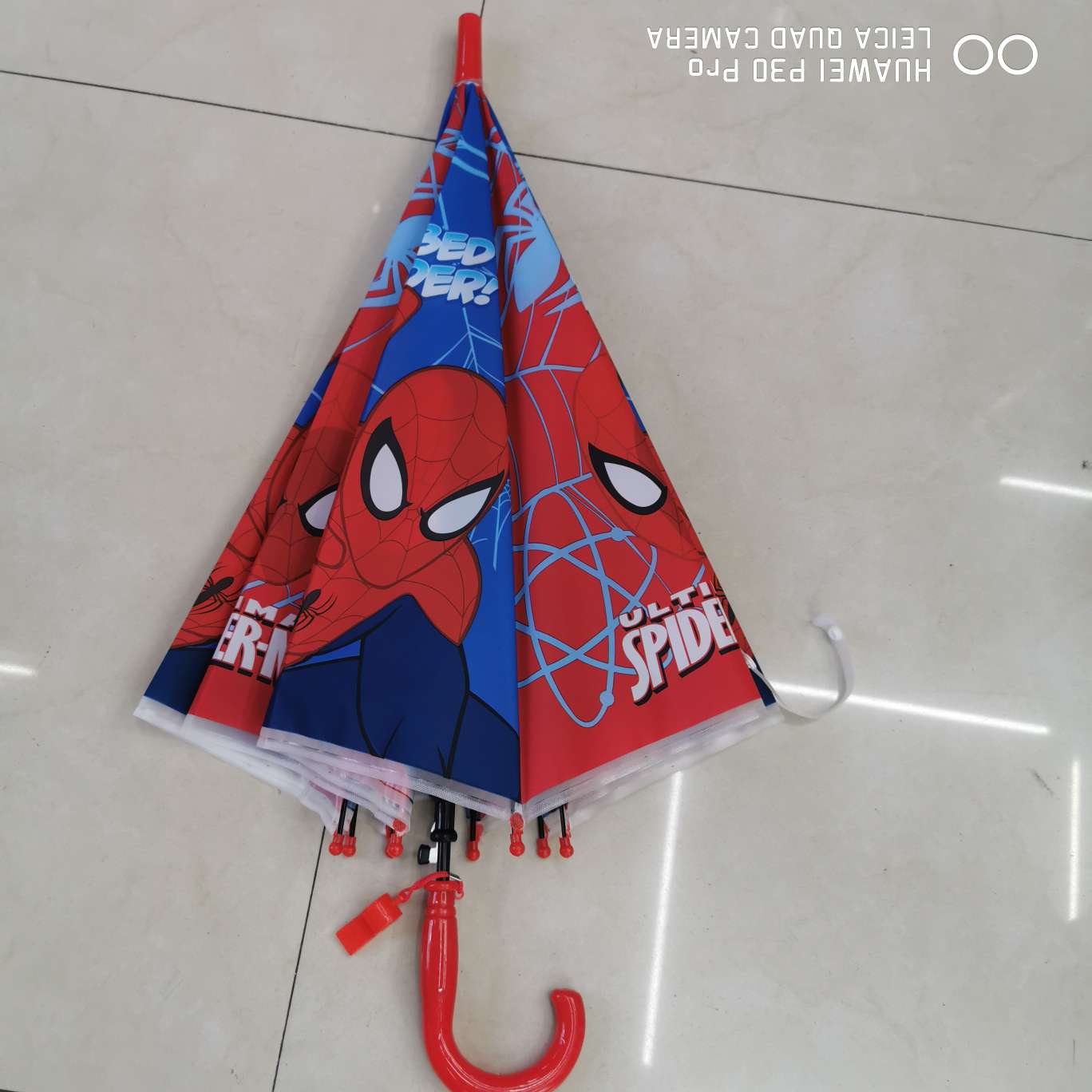 Cute cartoon umbrella Specification image