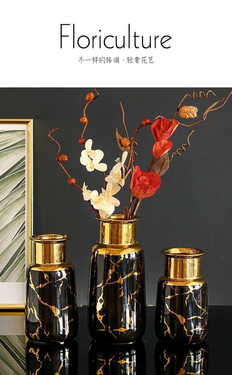欧式电镀黑色金口三件套陶瓷花瓶样板房花店客厅装饰品工艺品摆件 https://m.1688.com/offer/6060产品图