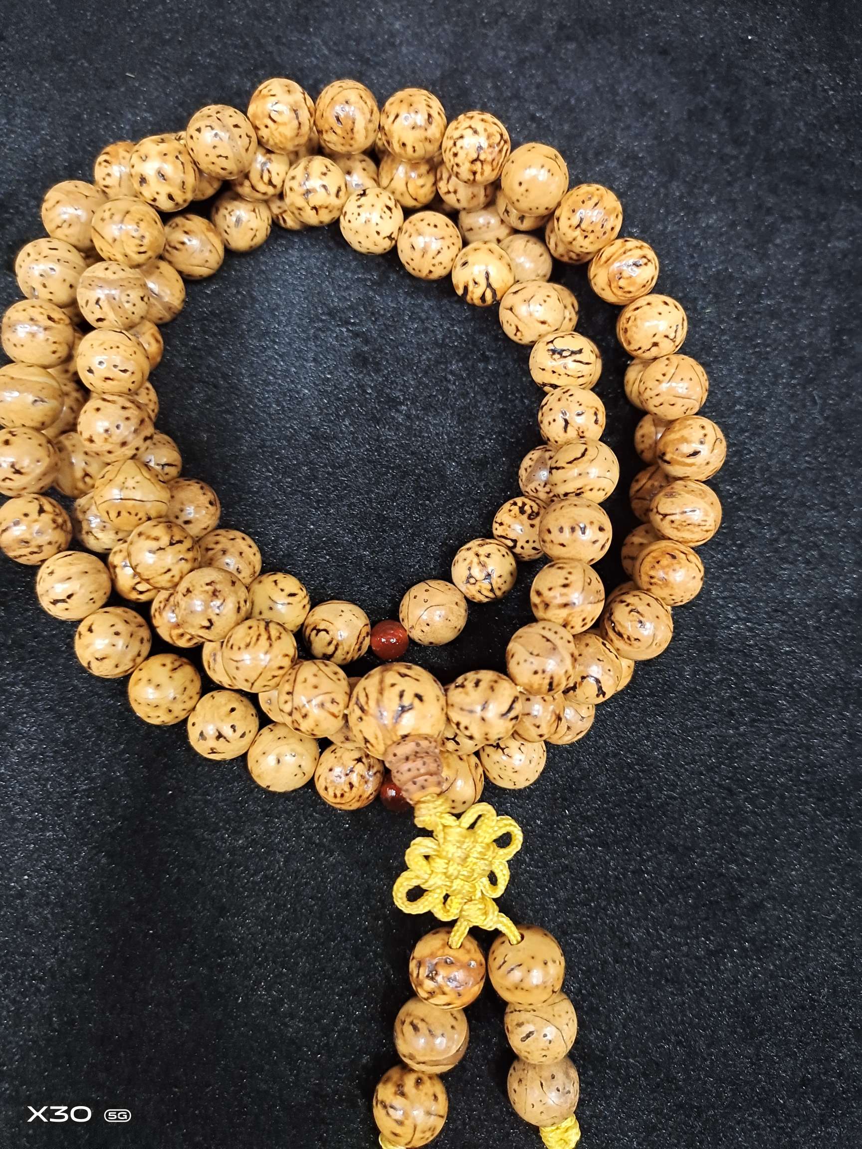 龙眼菩提产品图