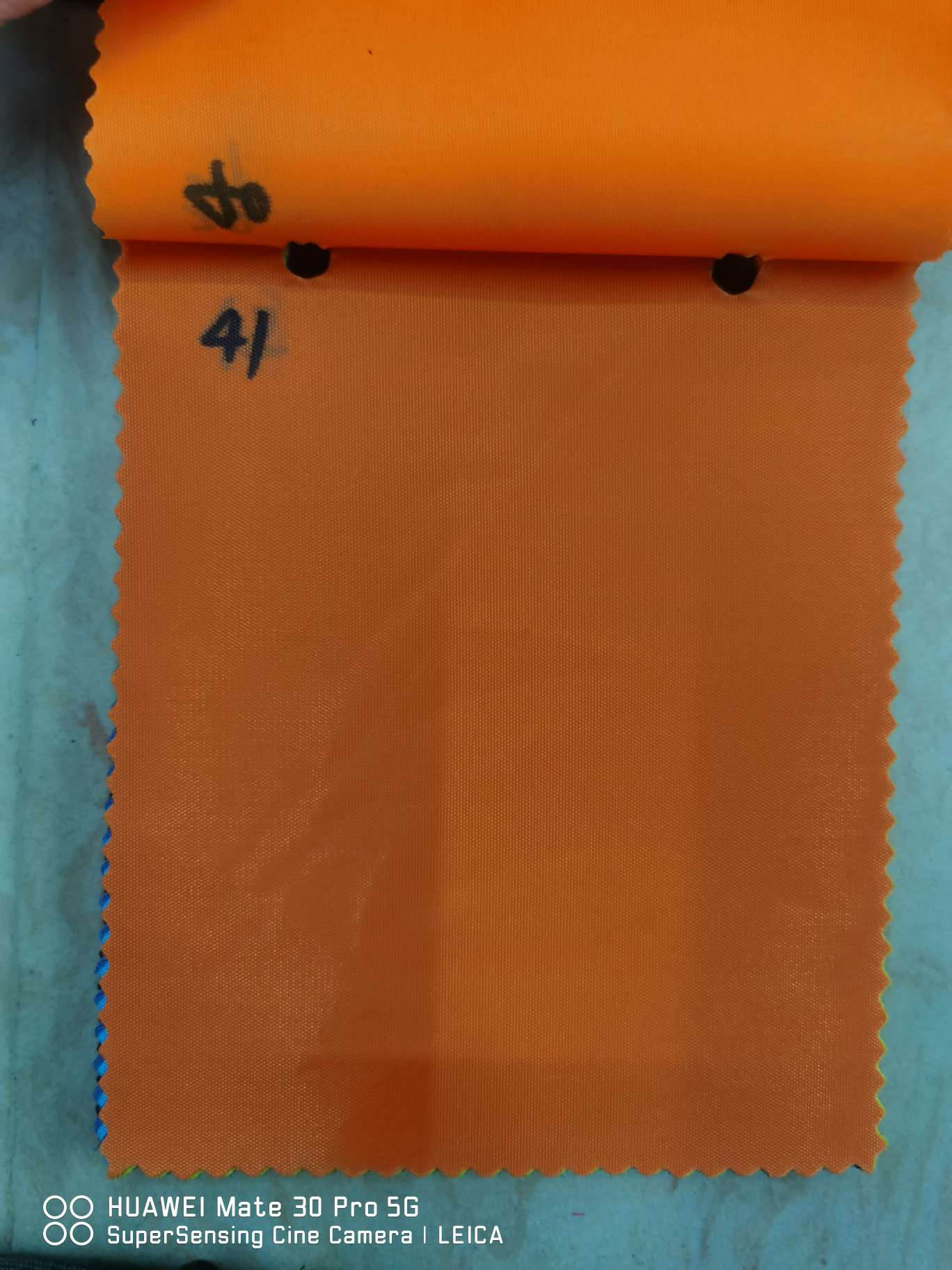 210D加密022色卡49叶绿厂家直销爆款002