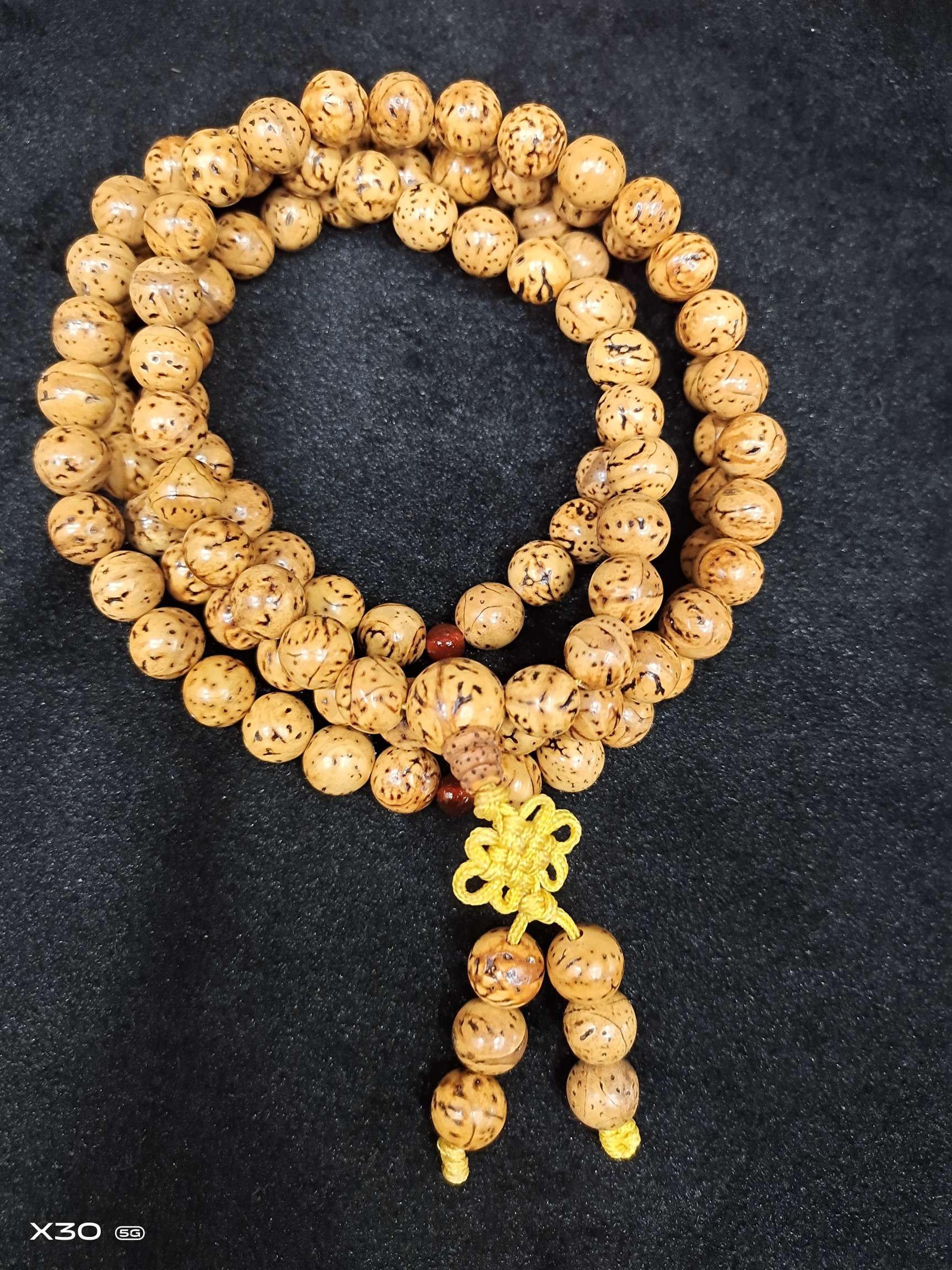 龙眼菩提细节图