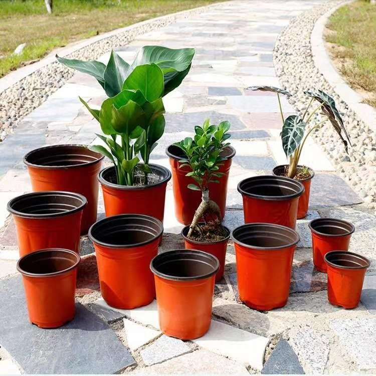 Seedling Pot Two-Color Pot Plastic Flowerpot