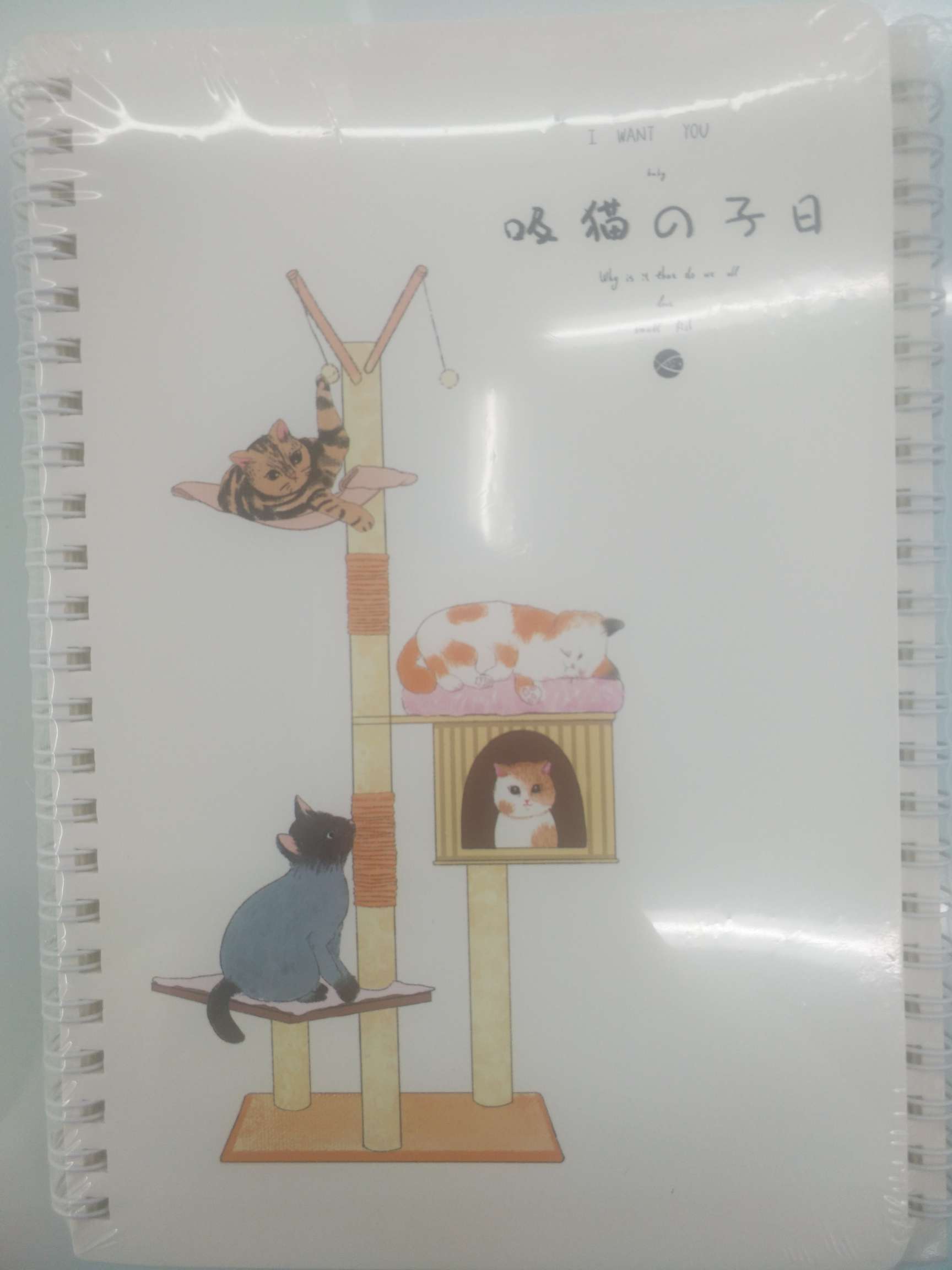 吸猫的日子A5线圈本