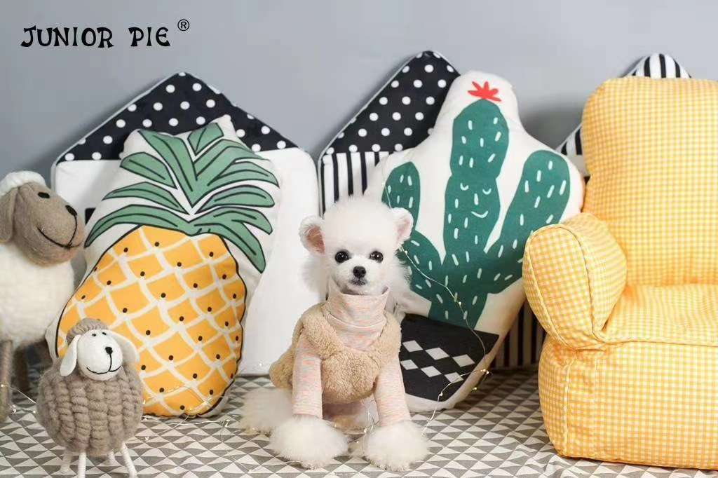 Pocket bottom shirt (skirt) + velvet vest, pet babies wear very good style! Application Scenario