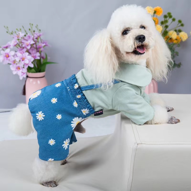 New winter clothes on shelves! Baby pets have benefits! False two - piece overalls, unique style, both warm and good - looking! New winter fashions hit shelves