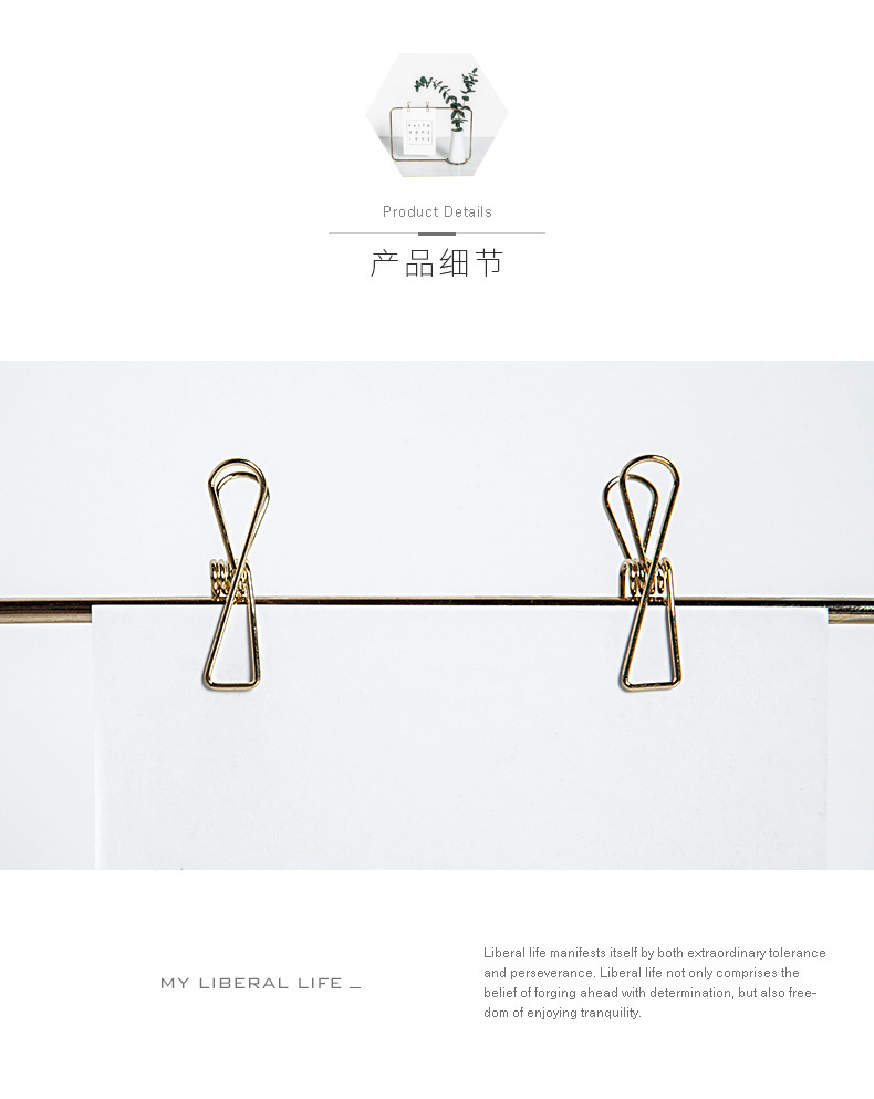 厂家一手简约铁艺相框摆设水培花瓶创意铁架陶瓷水培花插绿植花器 https://m.1688.com/offer/6145详情图7