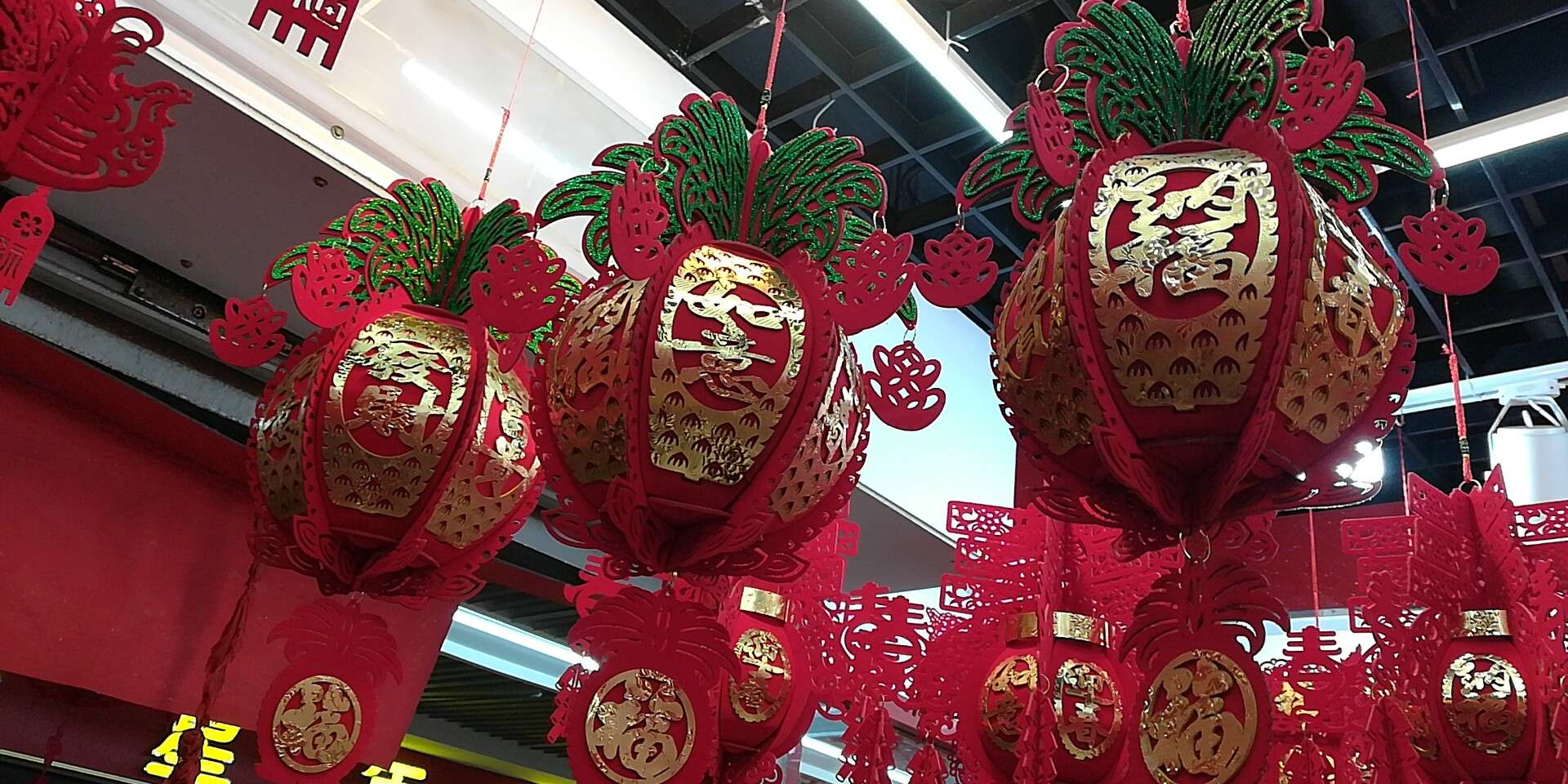 2019  1号绿叶菠萝