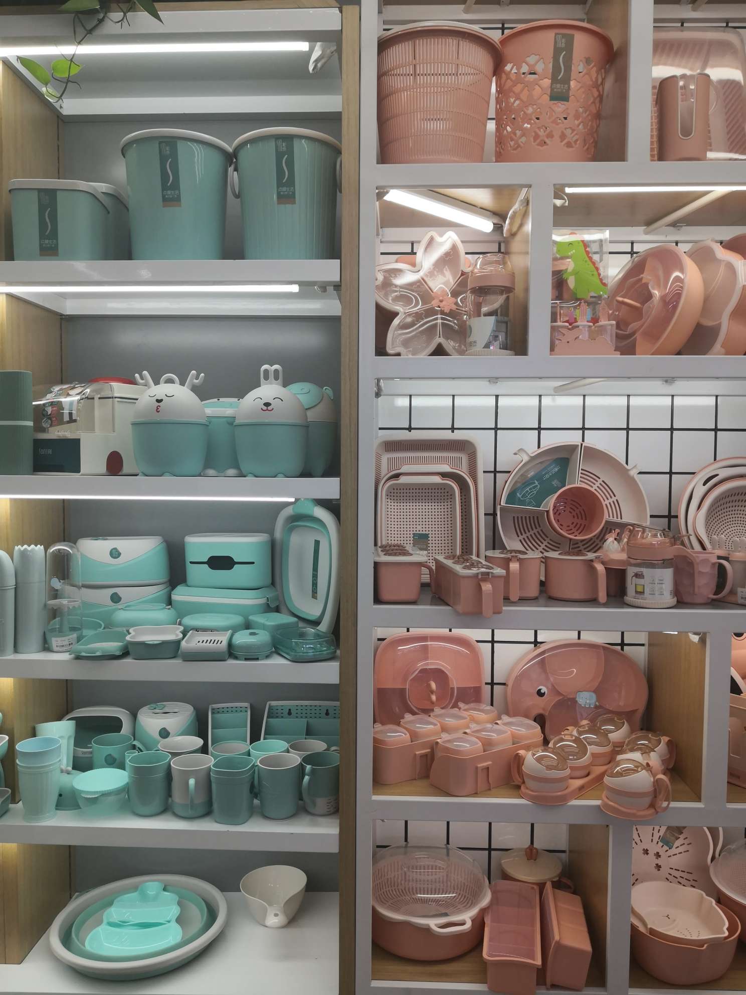 Jinfan Plastic Industry Co., LTD describe pic - 2