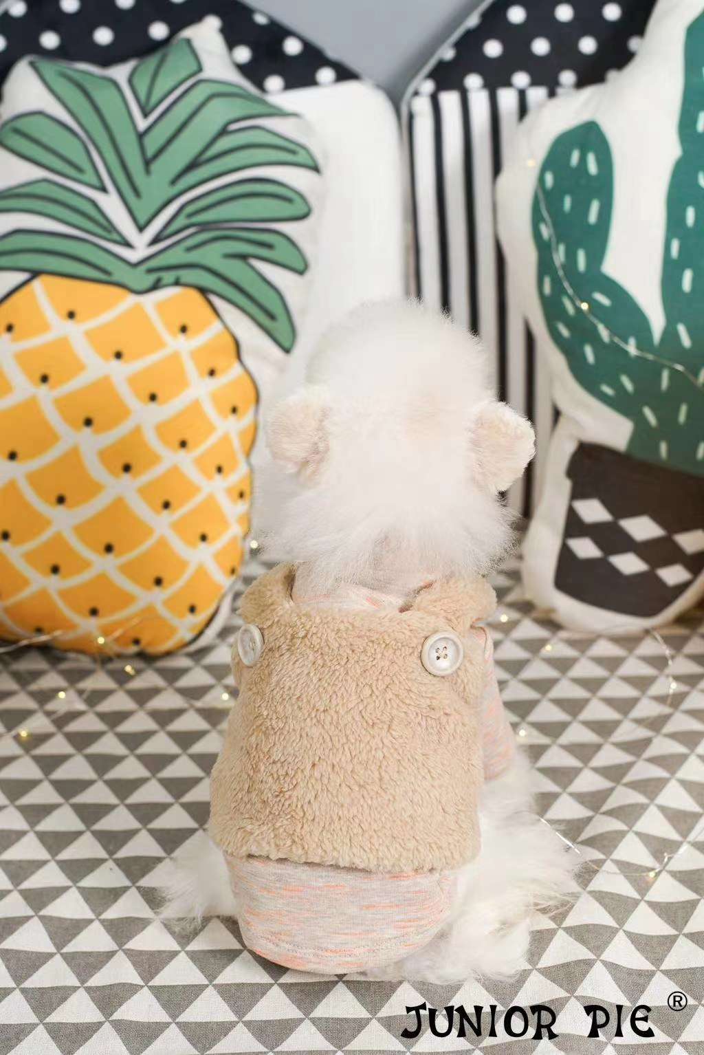 Pocket bottom shirt (skirt) + velvet vest, pet babies wear very good style! undefined