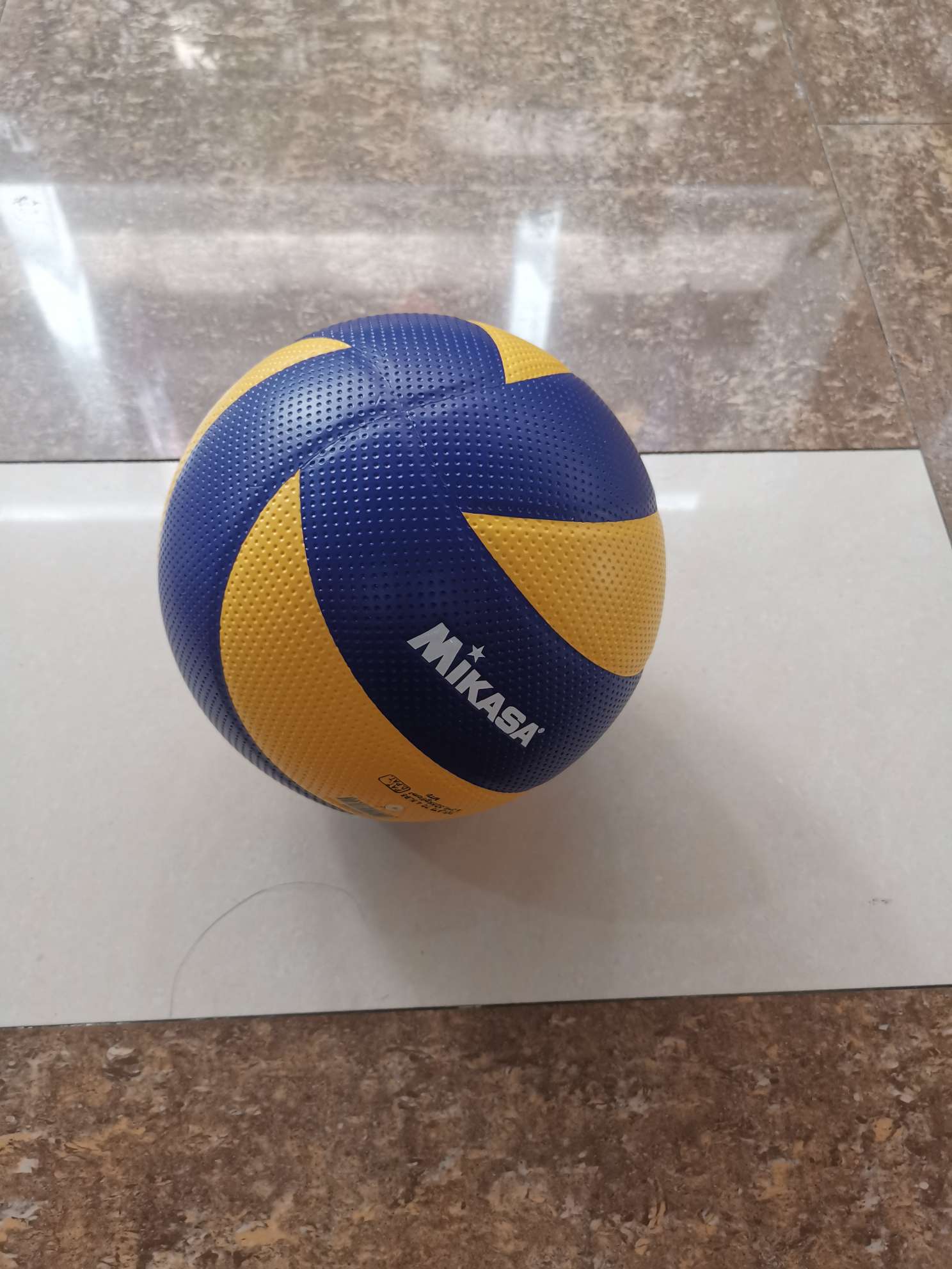 Adult volleyball
