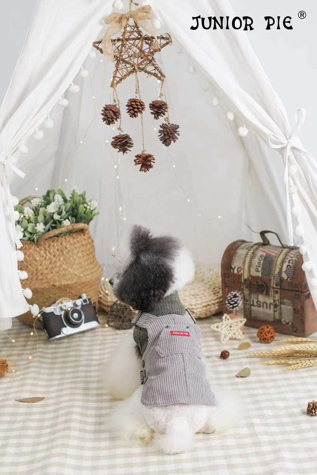 Pet baby striped bottom shirt (sleeveless, long sleeve) + corduroy strap skirt Application Scenario