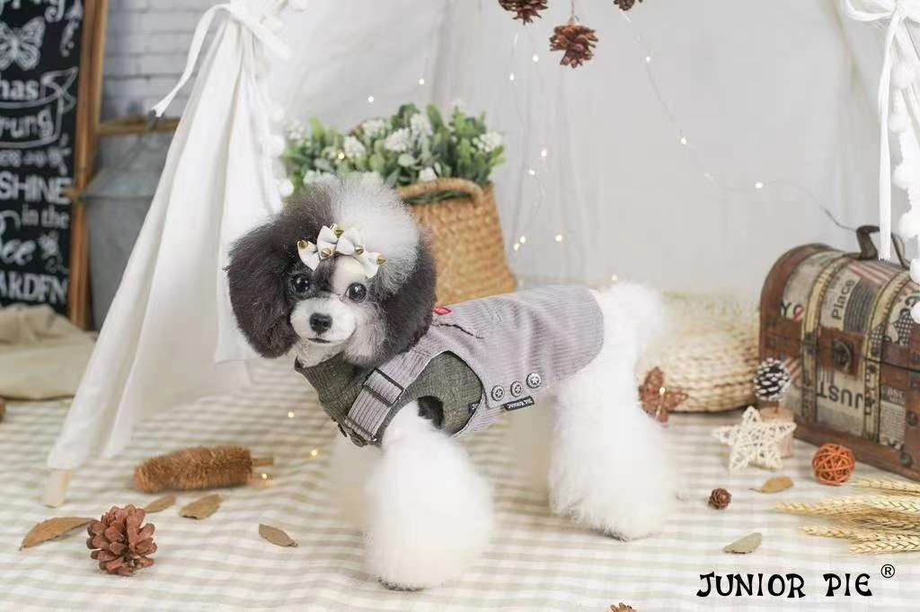 Pet baby striped bottom shirt (sleeveless, long sleeve) + corduroy strap skirt undefined