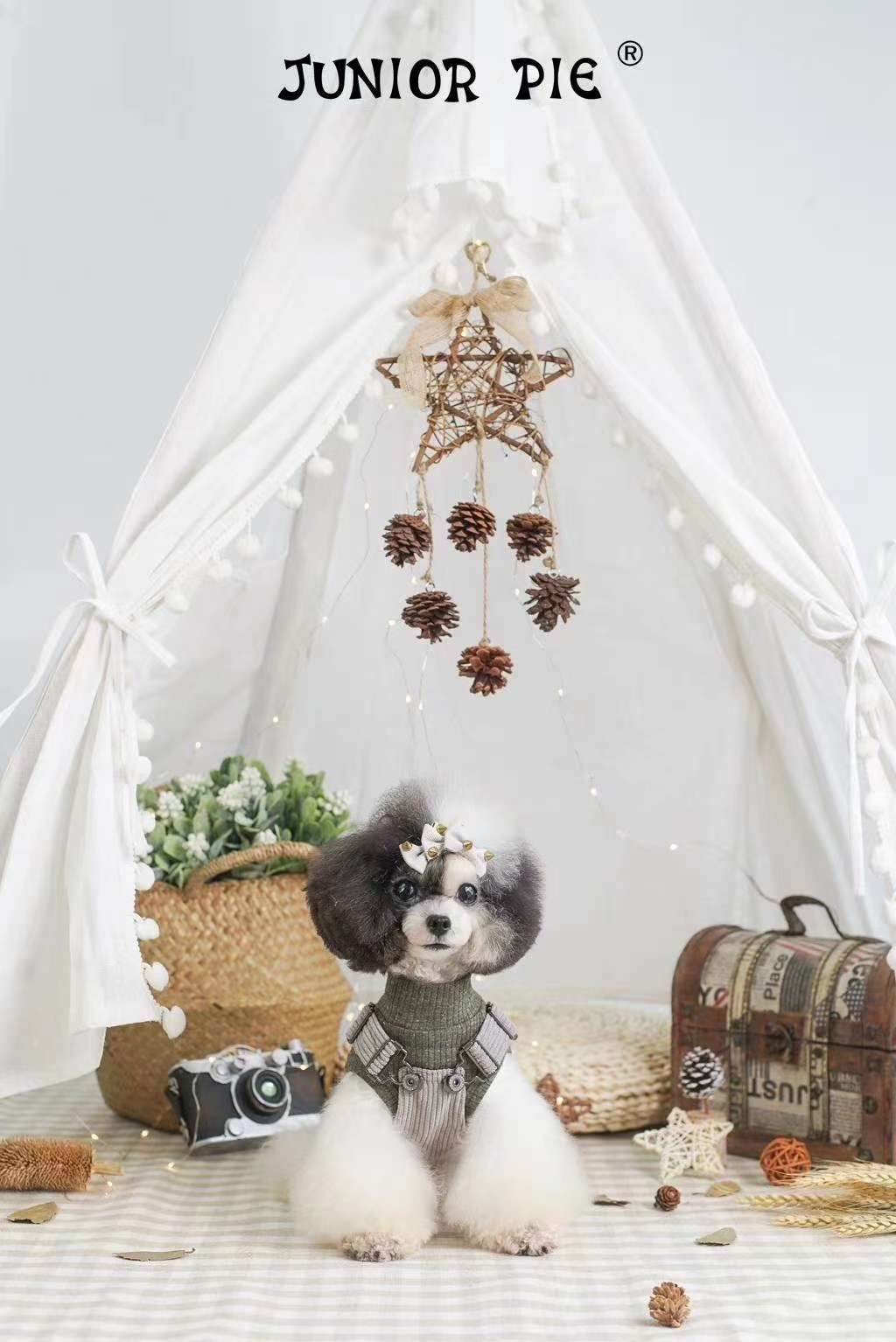 Pet baby striped bottom shirt (sleeveless, long sleeve) + corduroy strap skirt undefined