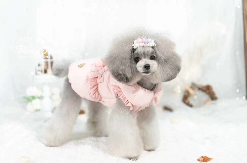 秋冬💝新品入荷🛍    闪光棉服 高级棉服面料填充厚实pp棉，背上的手工钉珠，配上点点细闪犹如天空的点红外详情图8