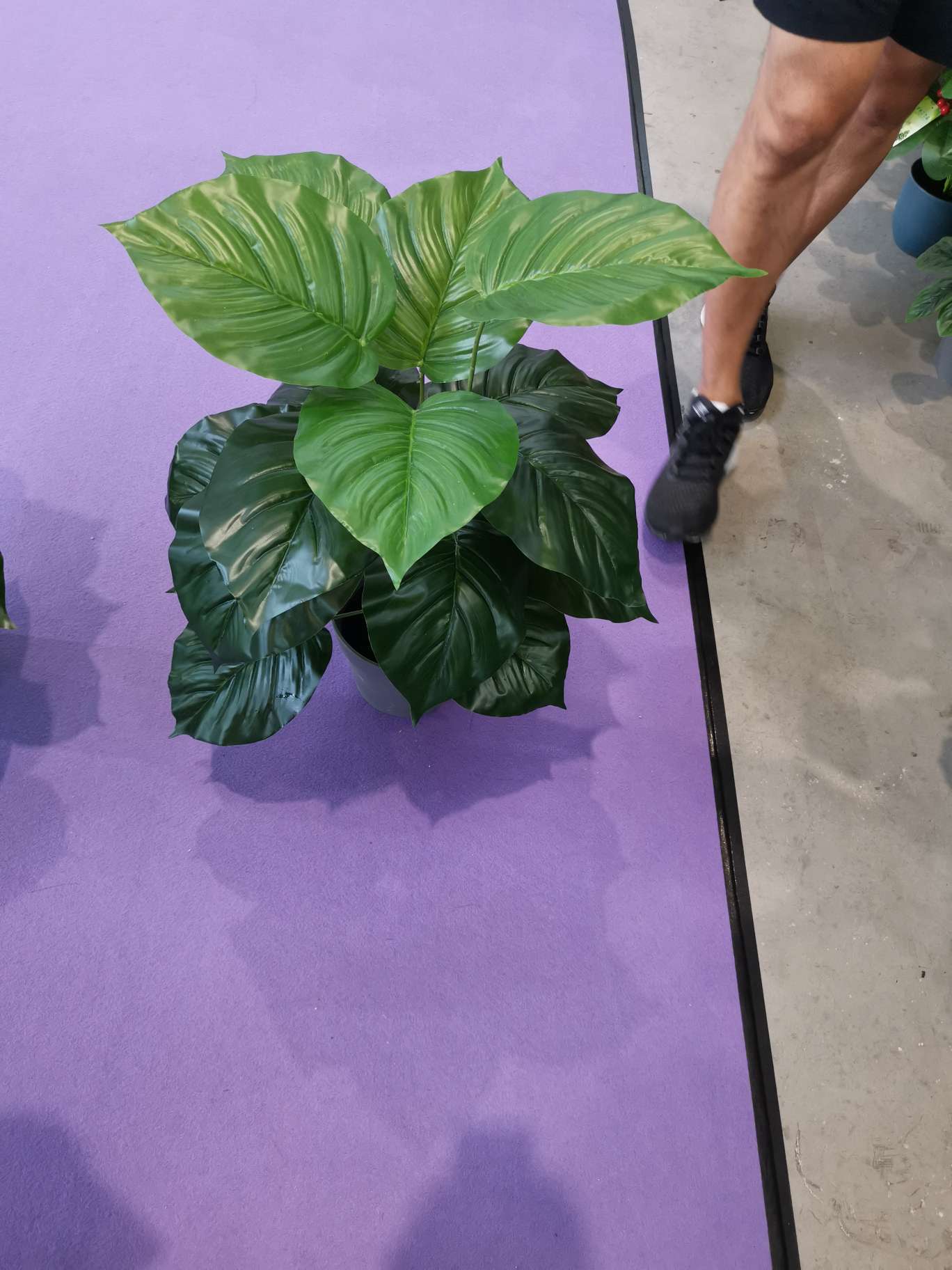 北欧ins仿真植物装饰花风小摆件客厅桌面盆栽家居室内假绿植盆景