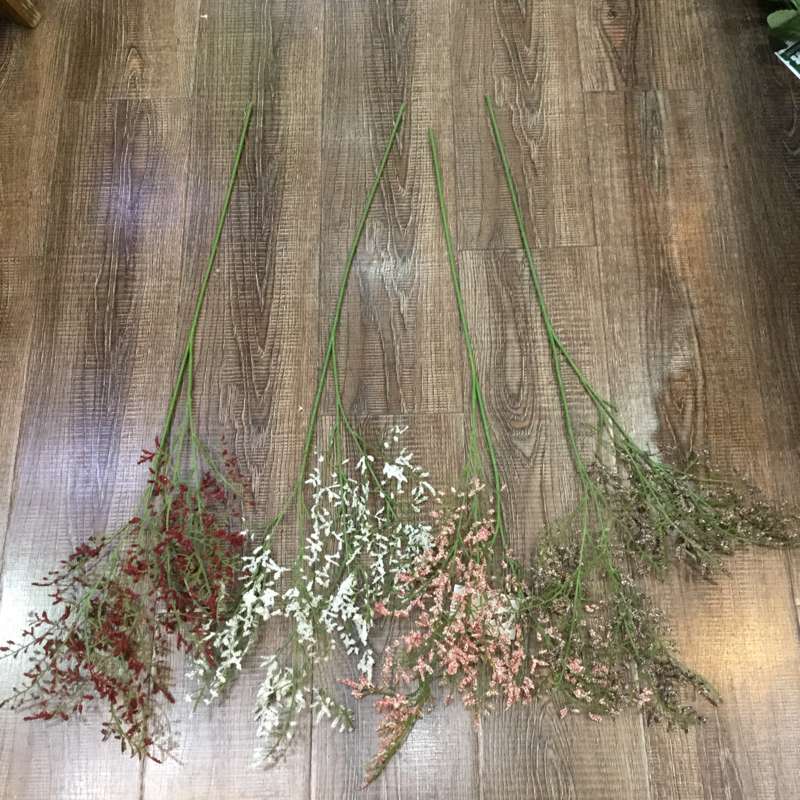 单只广州情人草