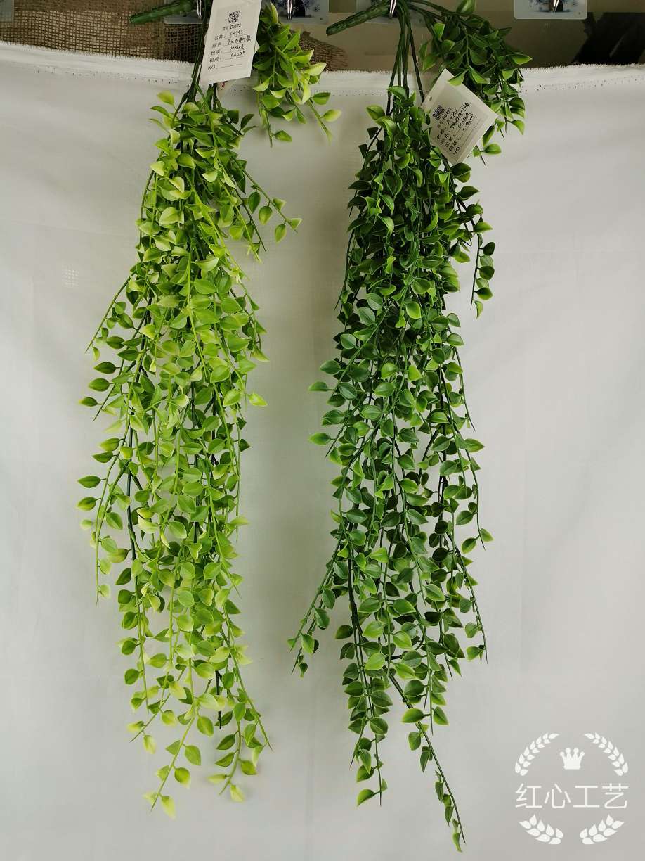 d474s 9-headed Western Leaf vine