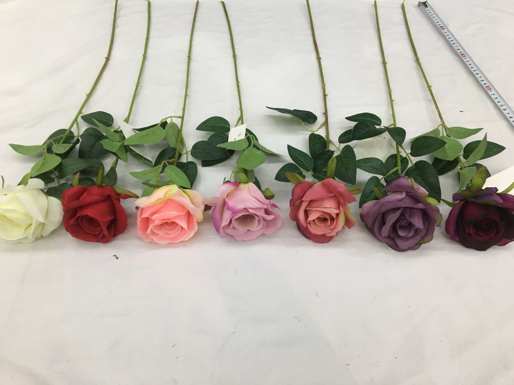 m-24 Single rose