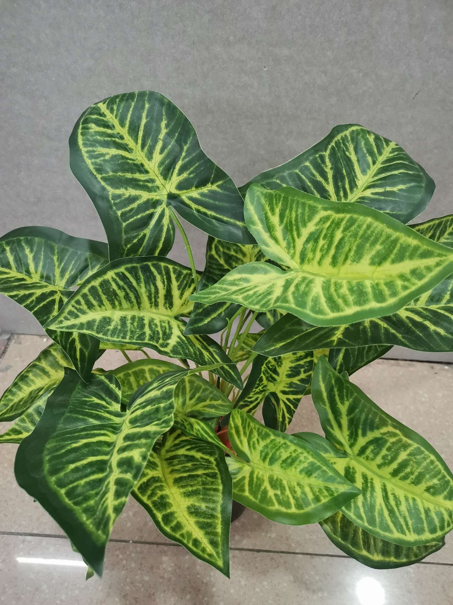 7 Small Taro Application Scenario