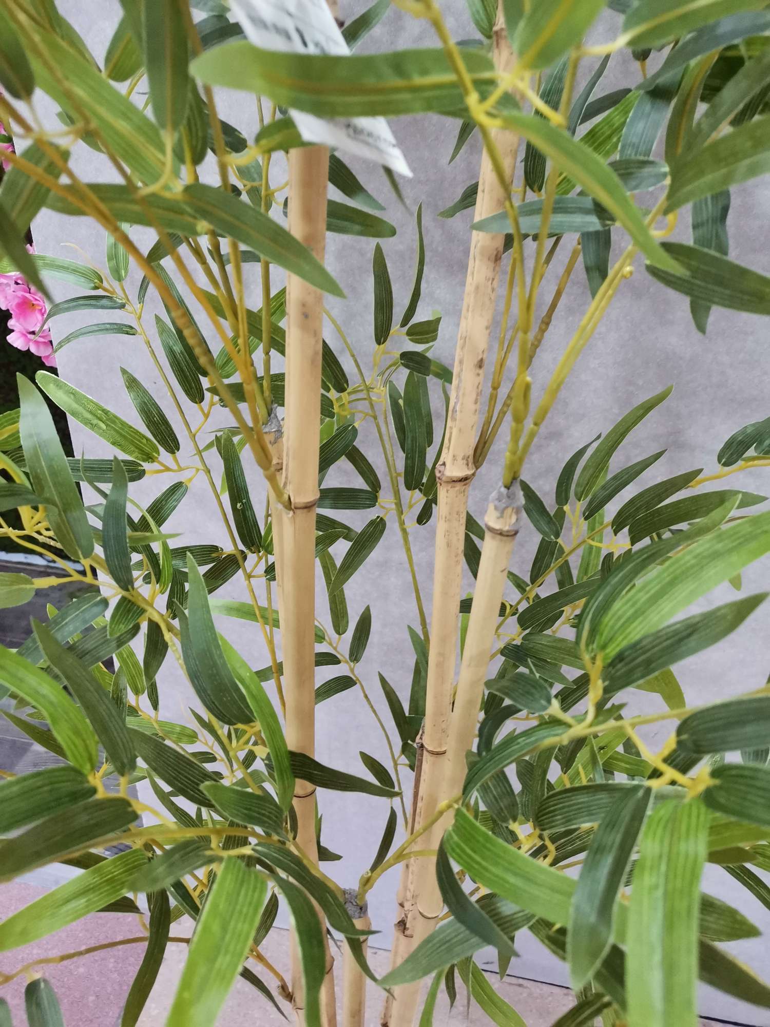 1562 1.2M Three-Dimensional Bamboo Pot Application Scenario