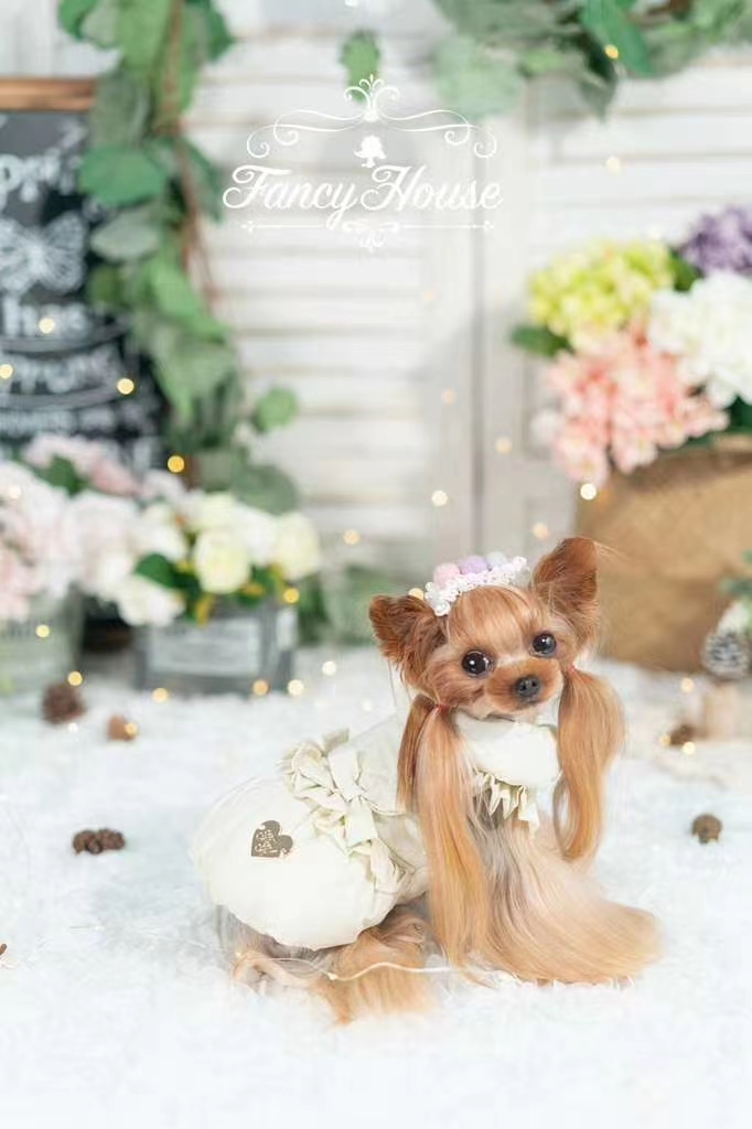 秋冬💝新品入荷🛍    闪光棉服 高级棉服面料填充厚实pp棉，背上的手工钉珠，配上点点细闪犹如天空的点红外详情图10