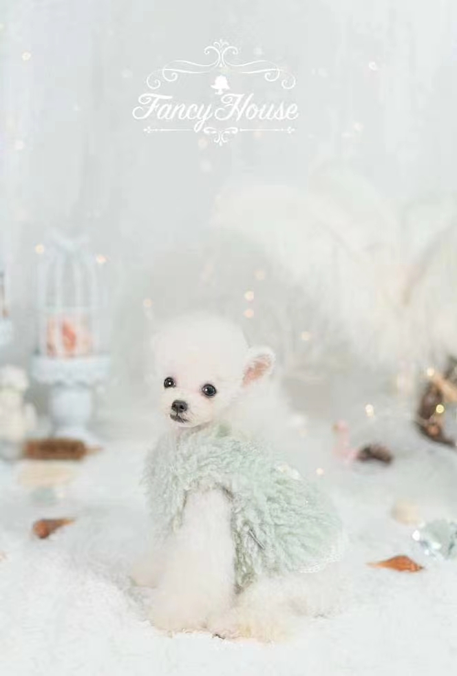 Autumn and winter 💝 new product 🛍 alpaca wool vest Soft and delicate high quality alpaca wool, feel soft and comfortable, exquisite lace on the hem to embellish! details Picture