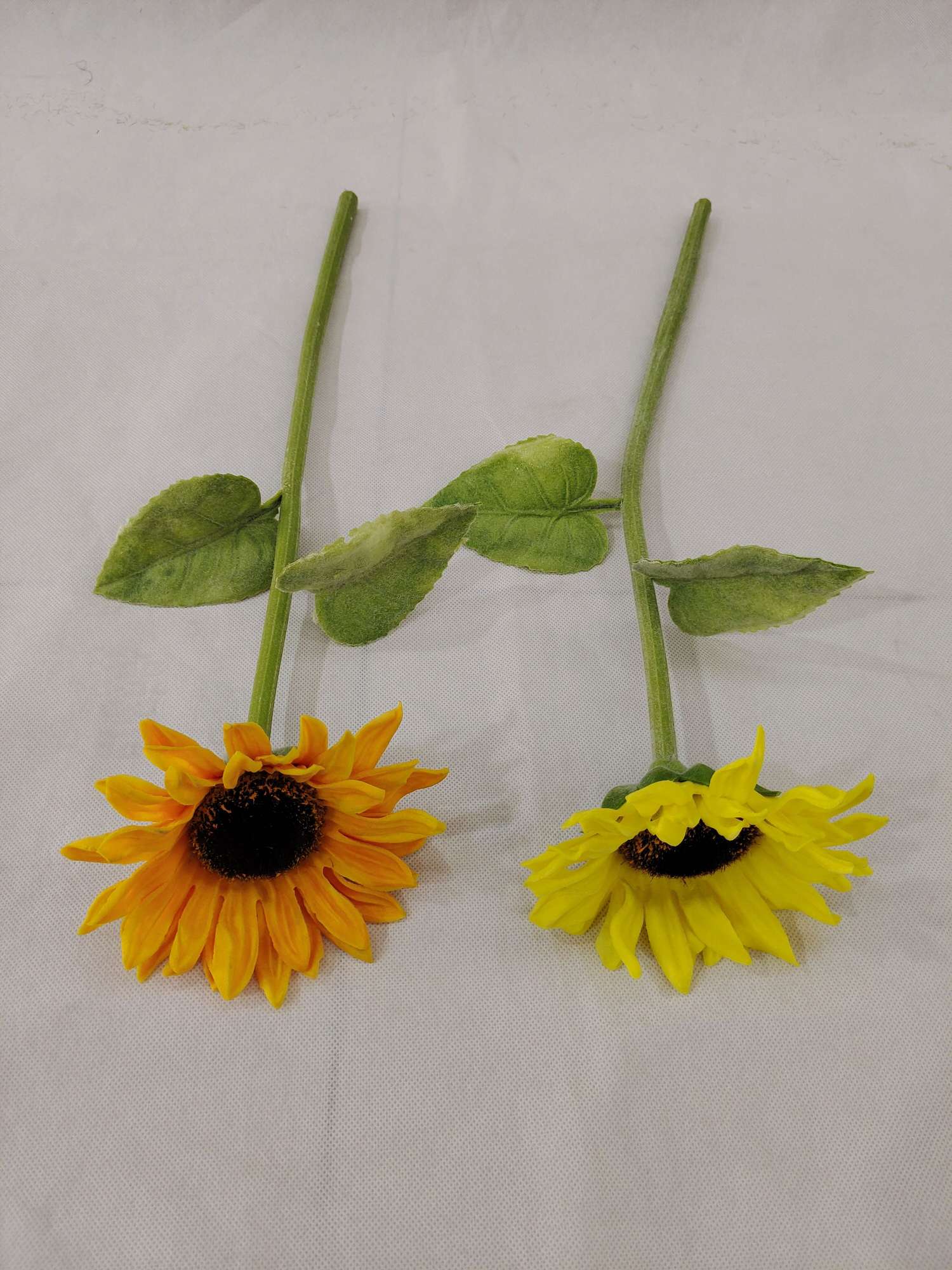 pu/ New single sunflower