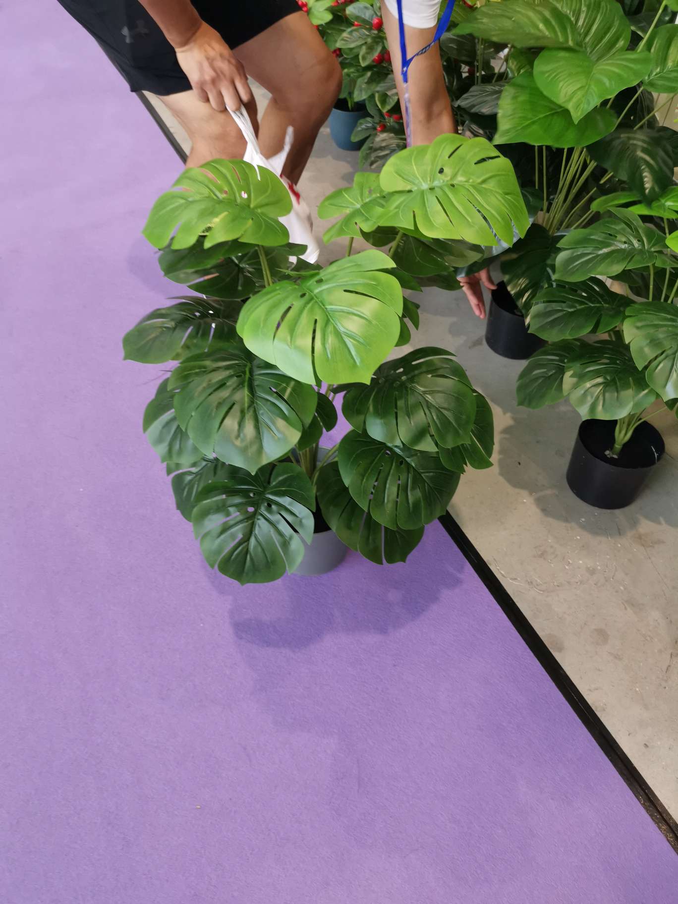 北欧ins仿真植物装饰花风小摆件客厅桌面盆栽家居室内假绿植盆景产品图