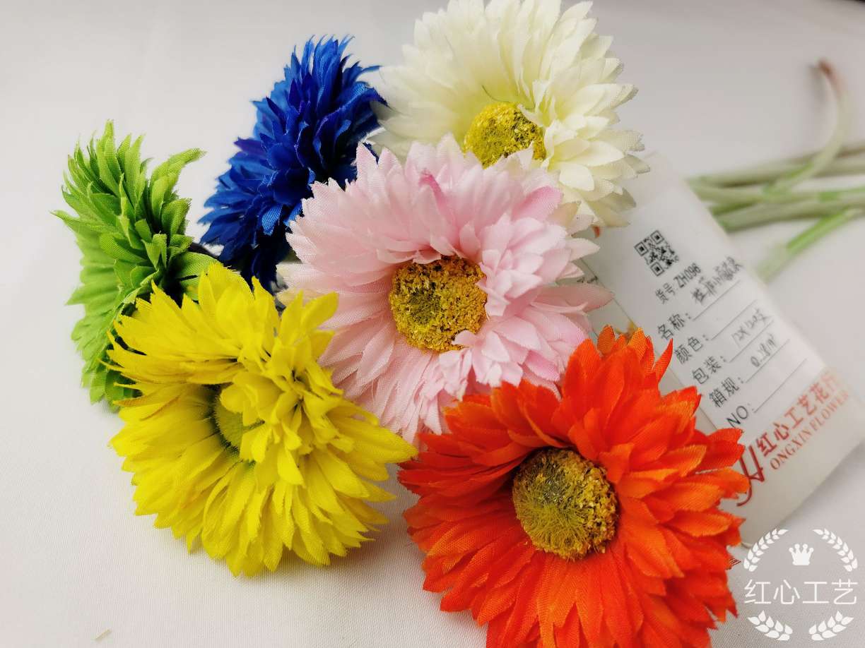 A single Lafite chrysanthemum