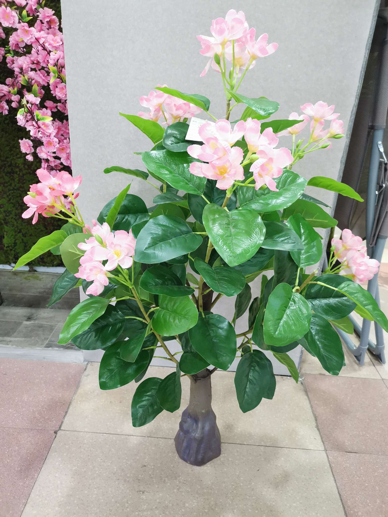 Apple Leaf Flower Tree