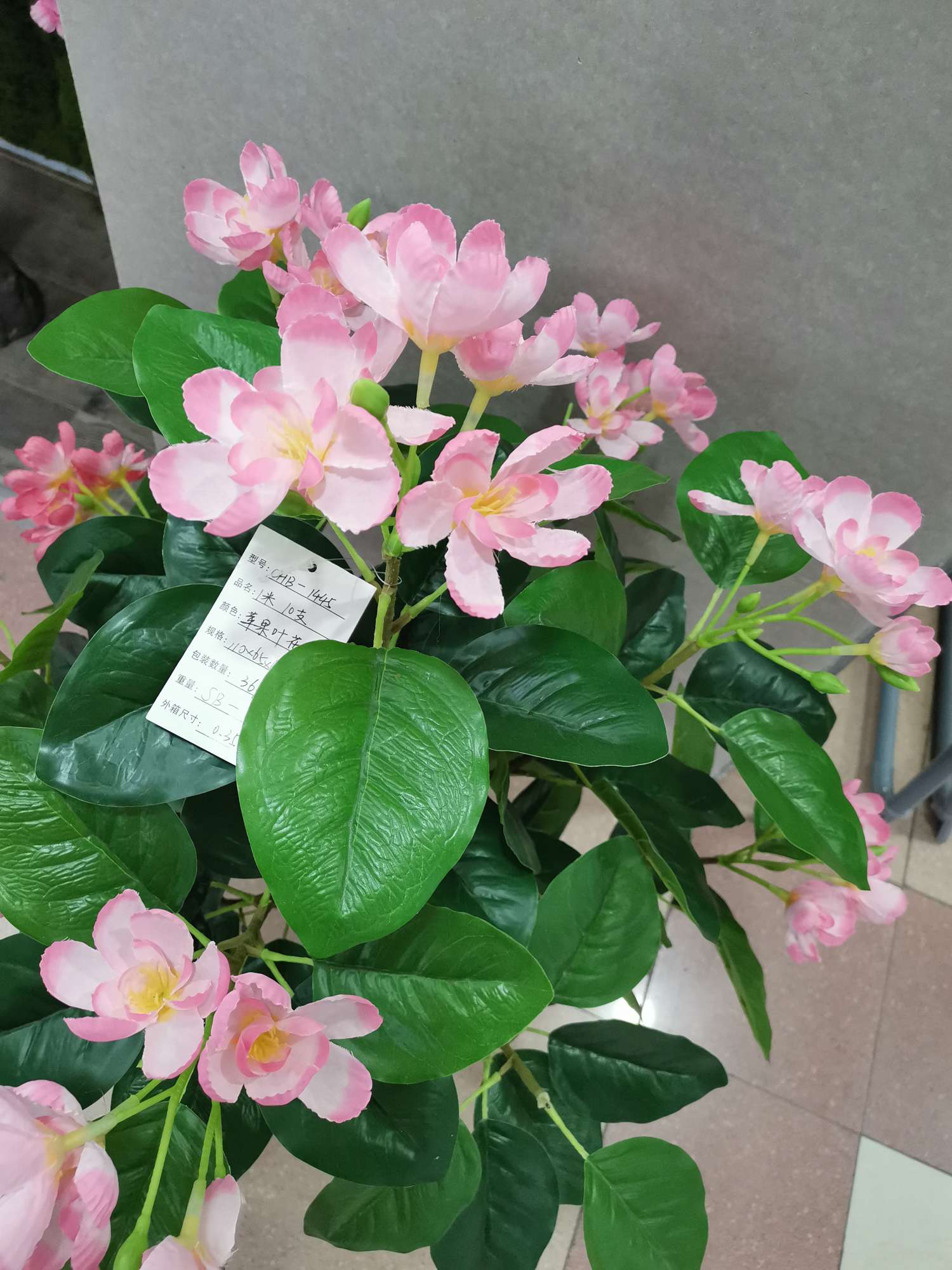 Apple Leaf Flower Tree Application Scenario