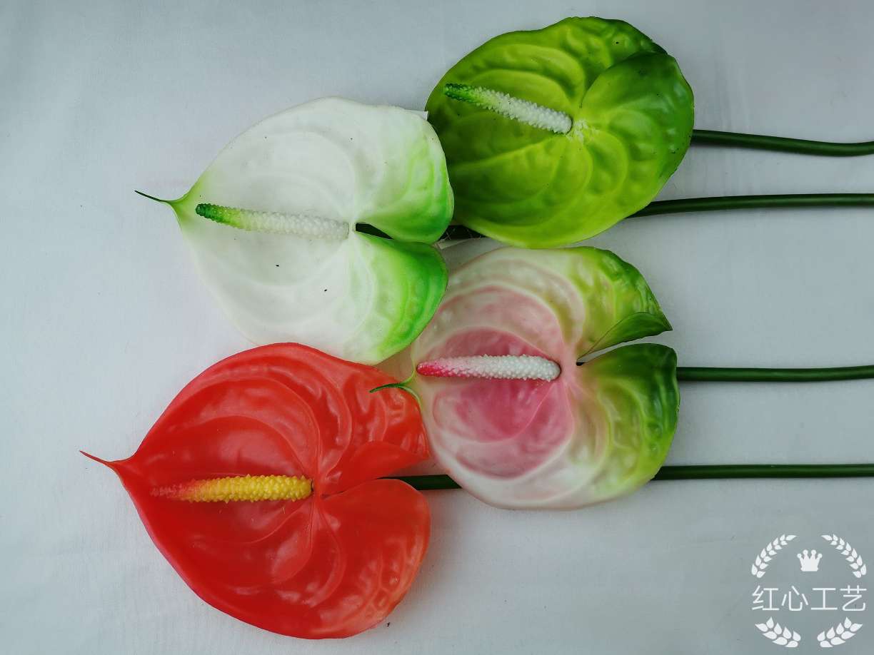 New pvc enlarged anthurium