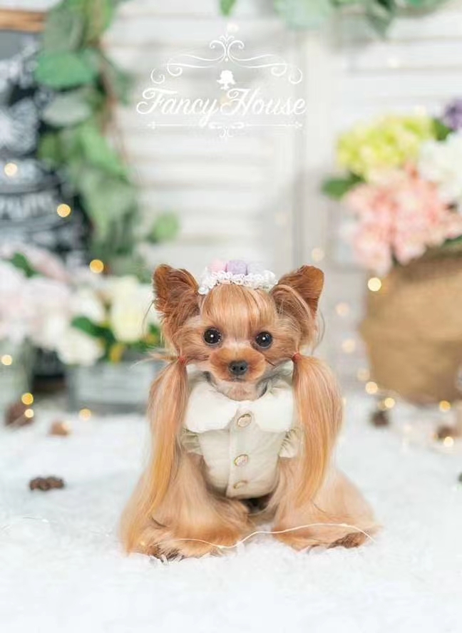 秋冬💝新品入荷🛍    闪光棉服 高级棉服面料填充厚实pp棉，背上的手工钉珠，配上点点细闪犹如天空的点红外详情图9