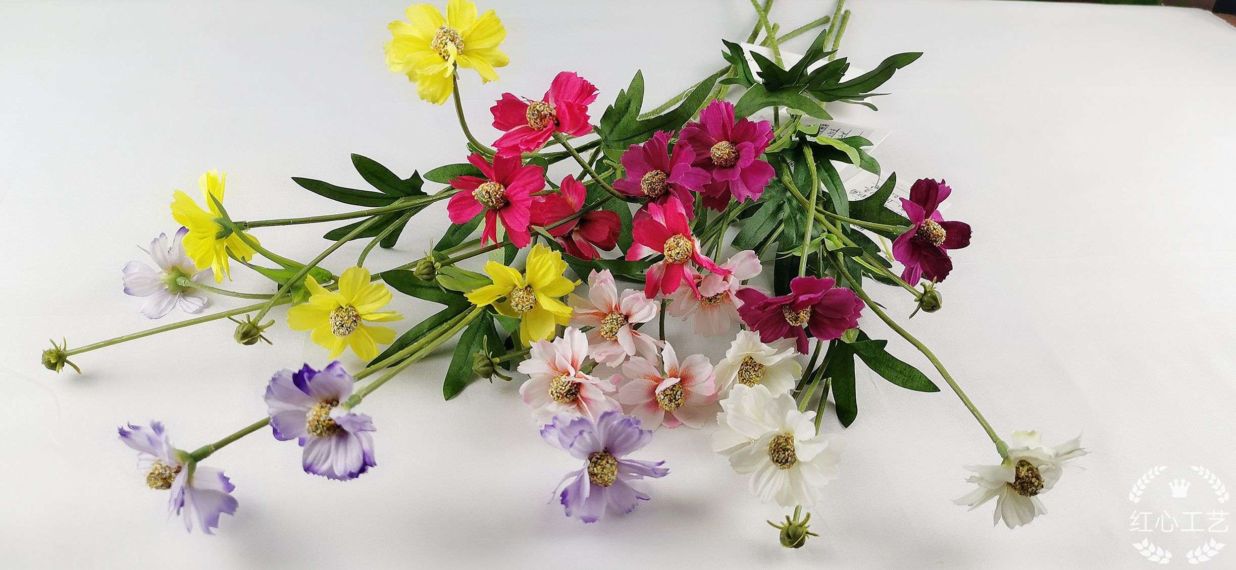 Guangzhou five-headed autumn chrysanthemum