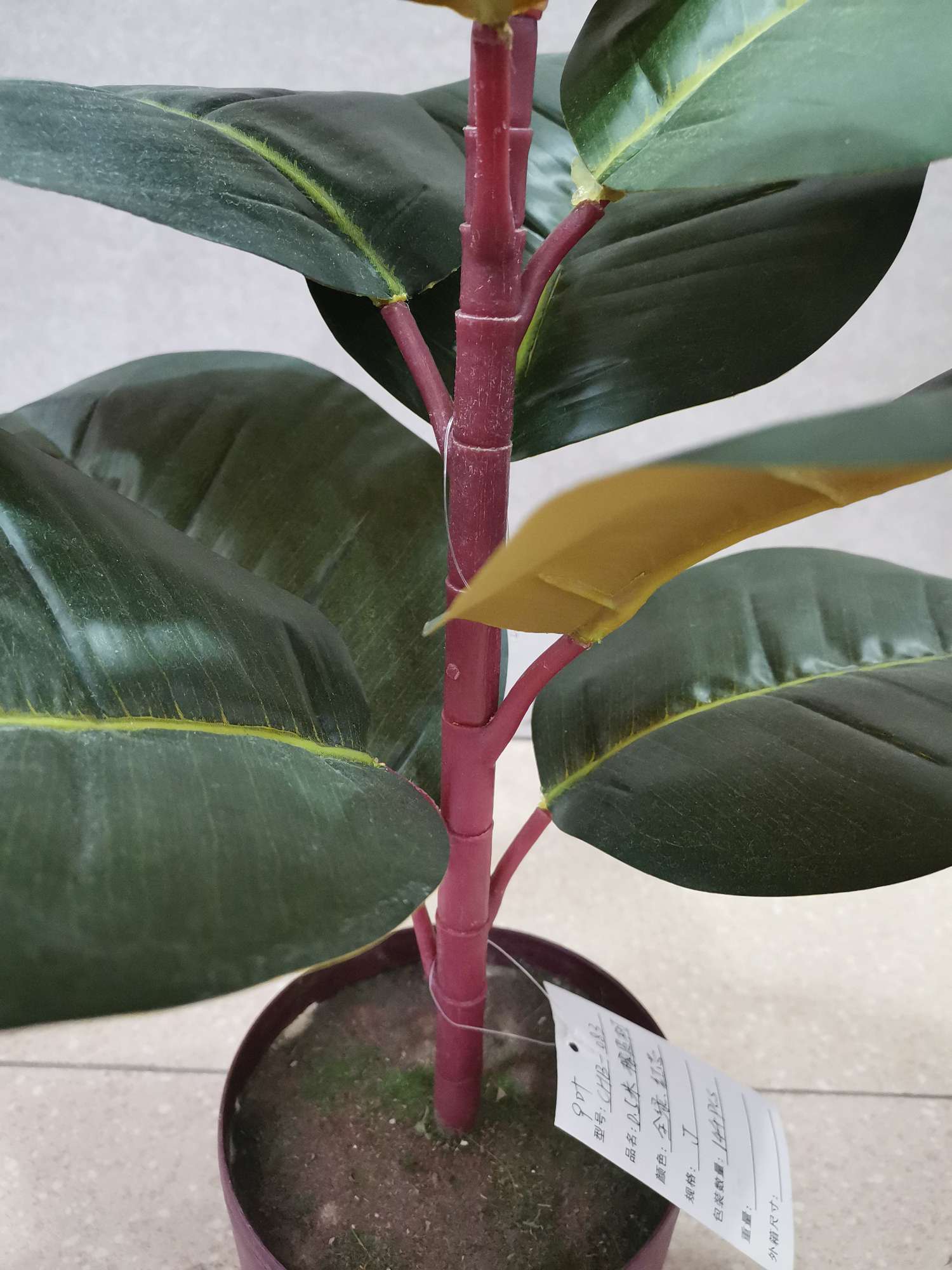 50Cn Single Rubber Tree Red Heart Application Scenario
