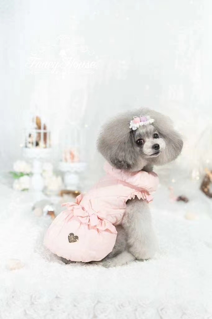 宠物闪光棉服/宠物高级棉服/宠物用品衣服产品图