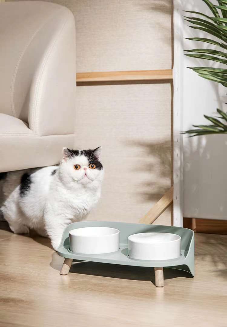 新品发布🌈

先悄悄预览一下下！宠物宝宝们的吃饭家伙，看着新潮，用得方便，清洗省力！放在家里就是一款工艺品！