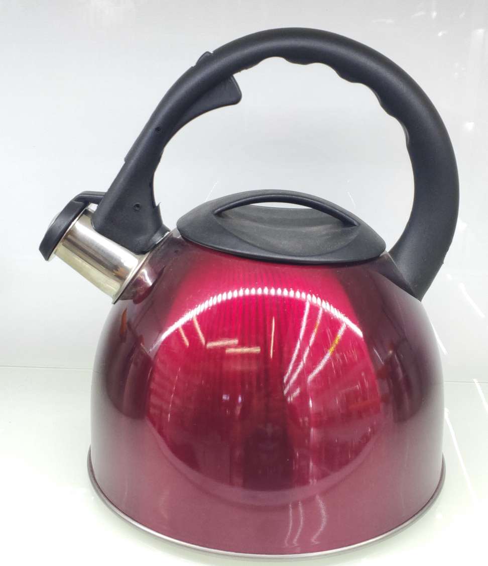 Stainless steel kettle 3.0, stainless steel sounding kettle, stainless steel boiling kettle