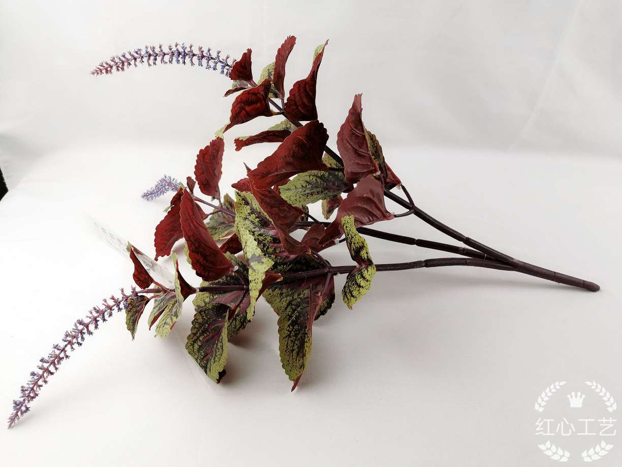 广州三叉仿真紫苏