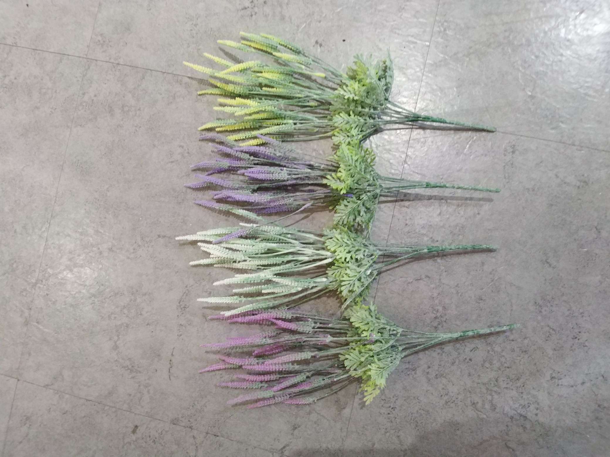 Seven heads of caterpillar grass are planted