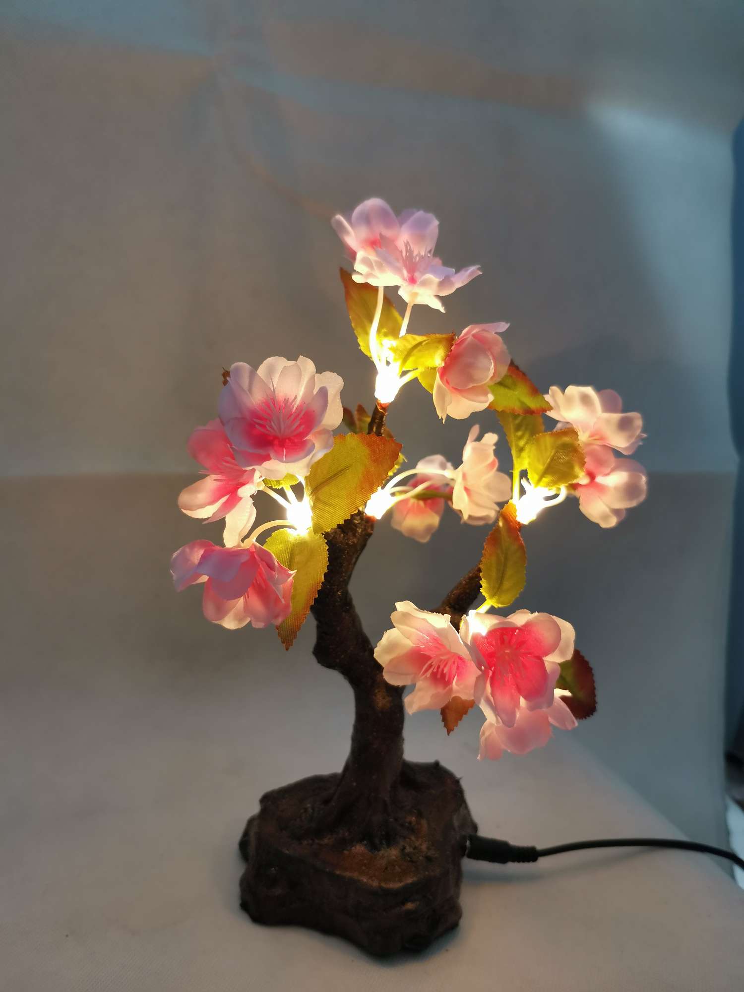 其他LED光源实物图