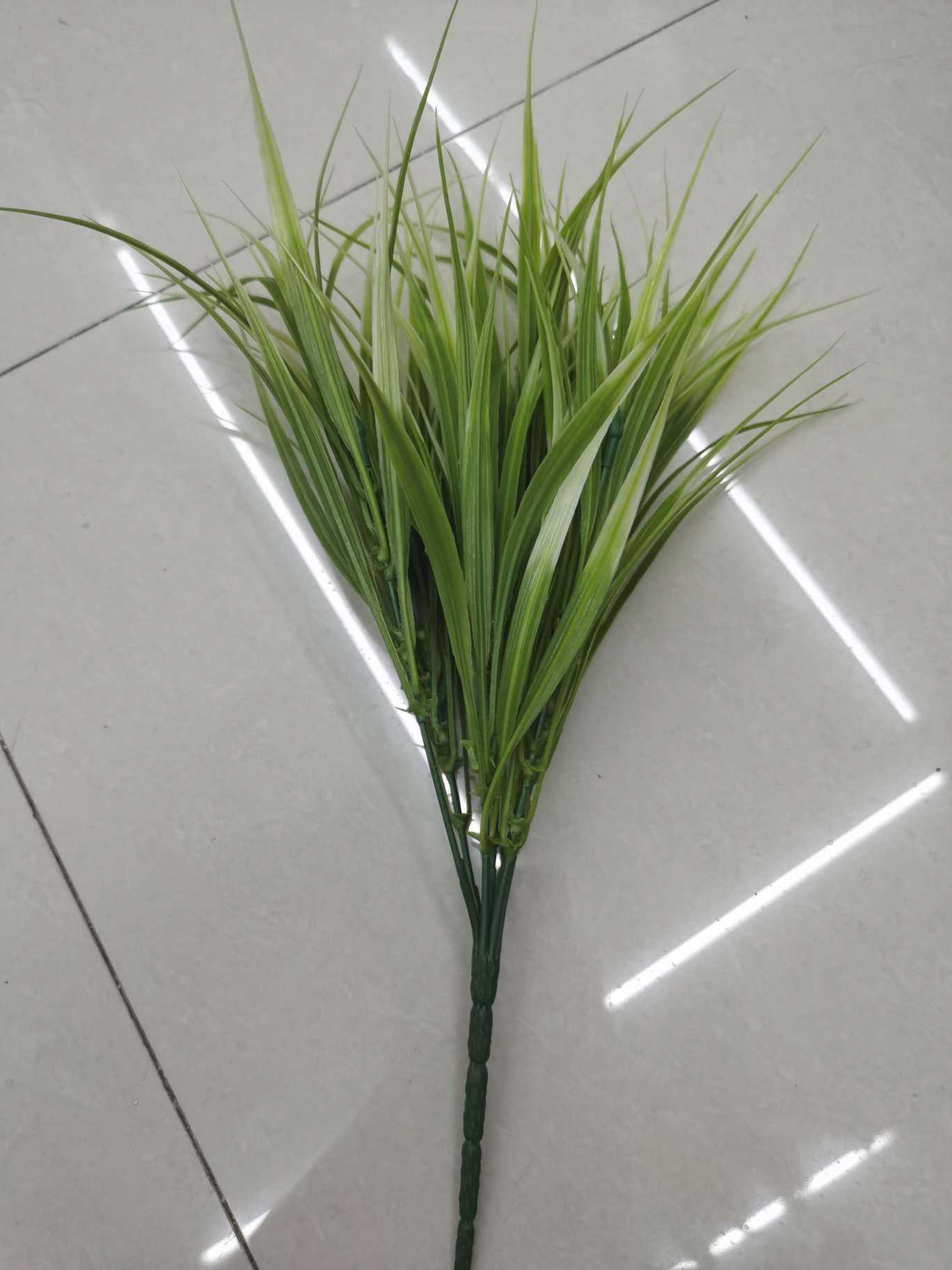 7. Spring grass details Picture