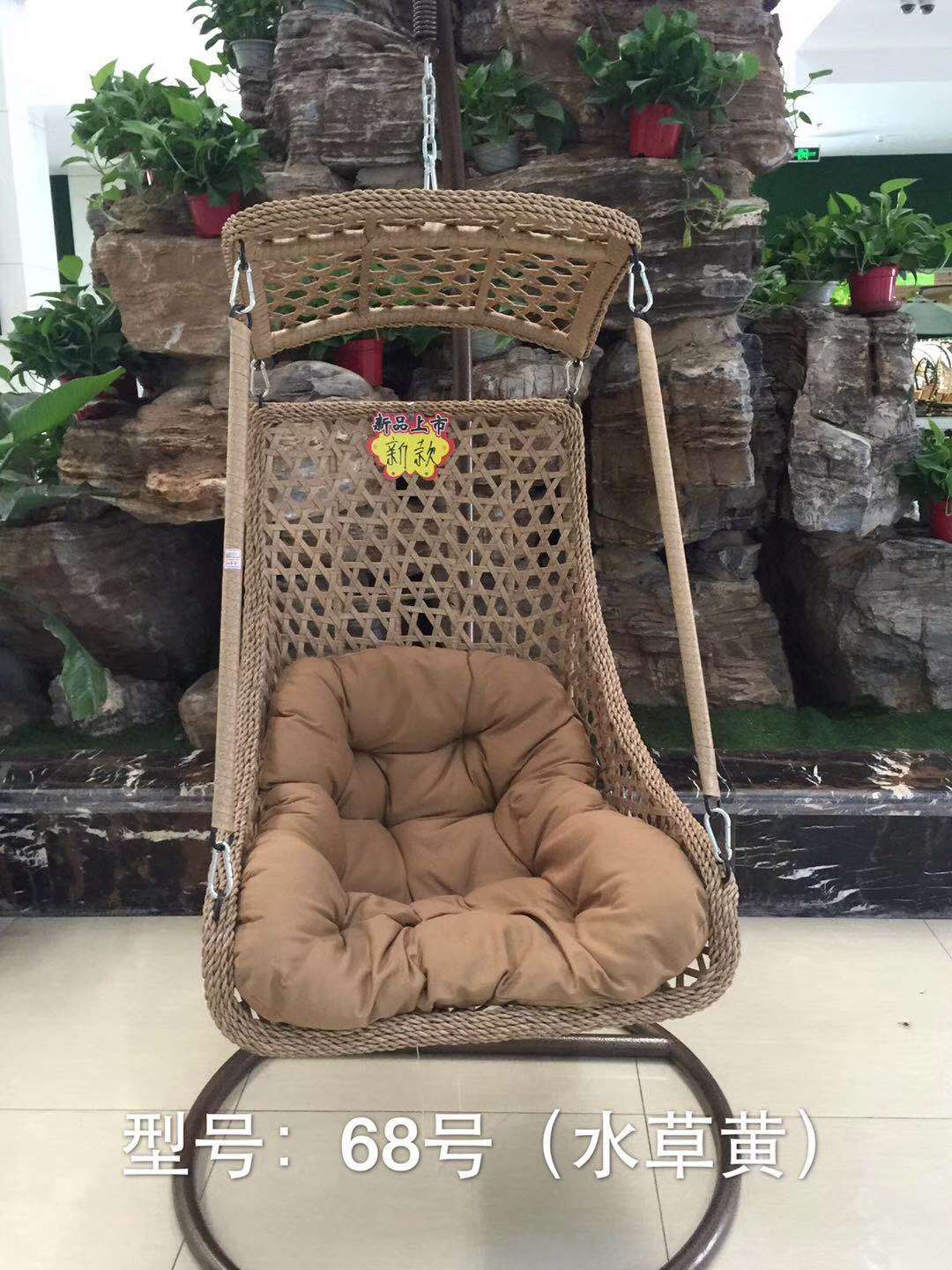 兰科植物实物图